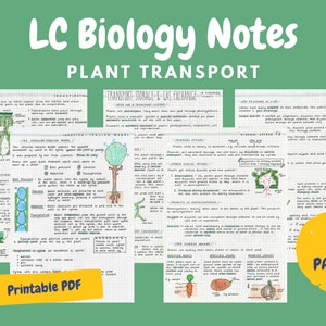 Plant Transport Notes - Leaving Cert Biology