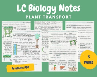 Plant Transport Notes - Leaving Cert Biology