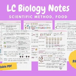 以下が含まれることがあります： ピンクの背景にカラフルな手書きのノートがあり、「LC Biology Notes: 科学的方法、食べ物」というタイトルが付けられています。ノートは、「科学的方法」や「食べ物」などの見出しでセクションに分けられています。ノート全体にイラストと図が描かれています。