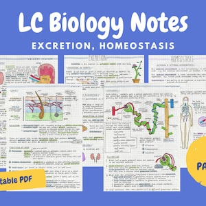 Uitscheiding en homeostase Opmerkingen - Cert Biologie verlaten