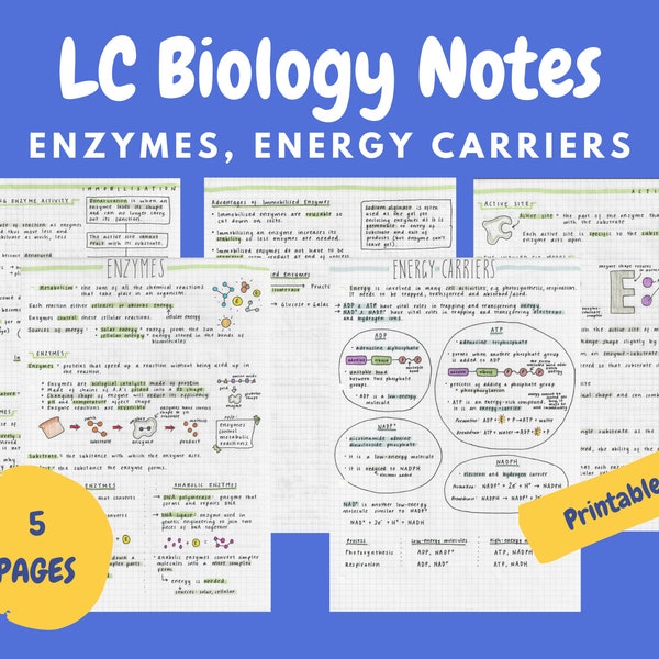 Enzymes and Energy Carriers Notes - Leaving Cert Biology