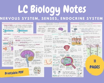 Notas sobre el sistema nervioso, los sentidos y el sistema endocrino: salida de Cert Biology
