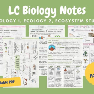 Pode incluir: Um conjunto de 19 páginas imprimíveis de notas de biologia sobre ecologia. As notas são escritas à mão em tinta preta sobre um fundo de papel quadriculado branco. As notas incluem diagramas, ilustrações e texto. As páginas são intituladas "Ecologia 1", "Ecologia 2" e "Estudo de um ecossistema".