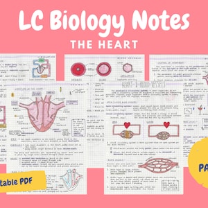 以下が含まれることがあります： 人間の心臓に関する印刷可能な生物学ノート。カラフルなイラストと図解が使用されています。ノートの内容は、二重循環、心臓の構造、血管、心拍数の制御などです。ノートは方眼紙の背景に書かれており、黄色いバナーには「6ページ」というテキストが書かれています。