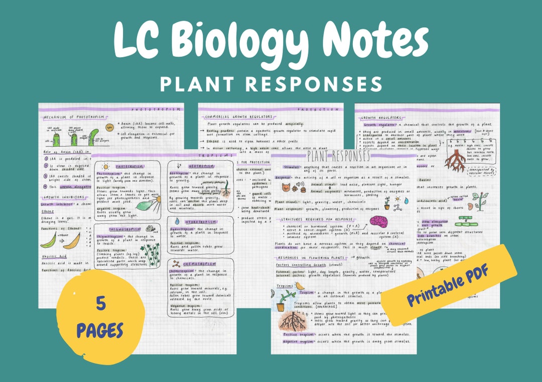 Captivating Leaving Cert Biology Paper Contains Mistake That May Have Caught Out Students Background Concept Captivating Leaving Cert Biology Paper Contains Mistake That May Have Caught Out Students Background Concept