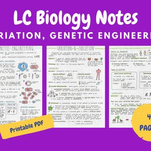 以下が含まれることがあります： 「LC Biology Notes: 変異、遺伝子工学」というタイトルが書かれた方眼紙の背景に、カラフルな手書きのノートが書かれています。ノートの内容は、遺伝子工学、変異と進化、突然変異の種類などです。ノートには、シンプルな図が描かれています。