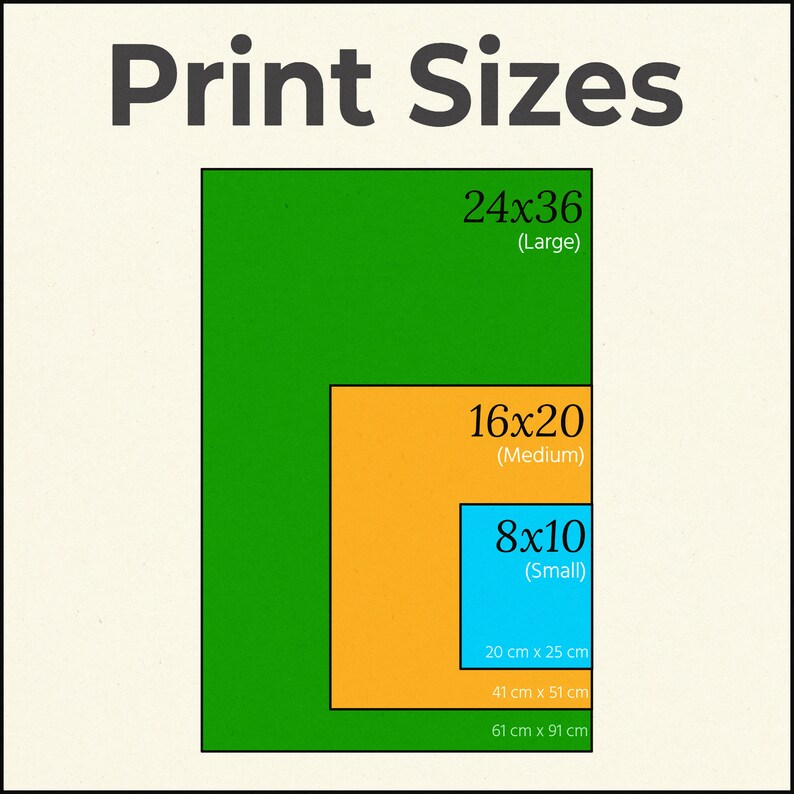 May include: A diagram showing three different print sizes: 8x10 inches (small), 16x20 inches (medium), and 24x36 inches (large). The sizes are shown in a nested format, with the smallest size inside the medium size, and the medium size inside the largest size. The sizes are also shown in centimeters.