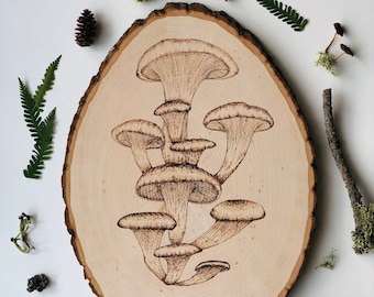 Hongos Ostra- Quema de Madera de Hongos