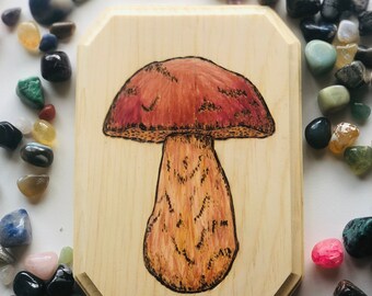 Bolete Mushroom- Quema de madera de hongos de colores