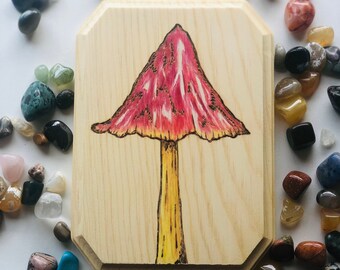 Sombrero de Brujas Mushroom- Burning de Madera de Hongo de Color