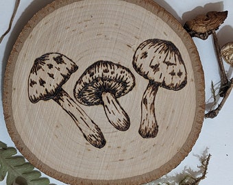 Mini Mushies - Mini Hongos Quemando Leña