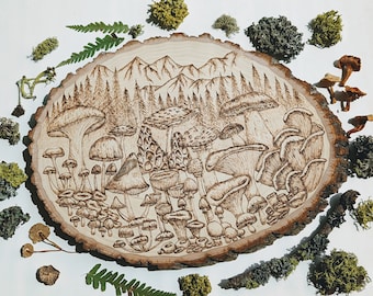 Setas y montañas- Quema de madera de setas