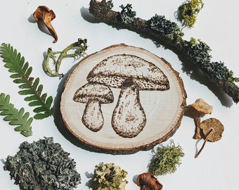 Mini Boletes- Mini Quema de Madera de Setas