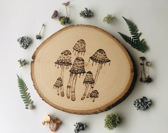 Shaggy Inky Cap Cluster- Quema de madera de hongos