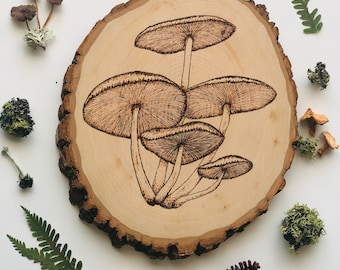 Racimo de hongos- Quema de madera de hongos