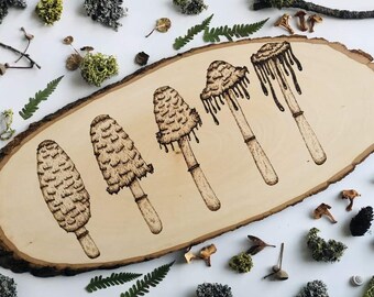 Deterioro de la tapa de tinta - Quema de madera de hongos