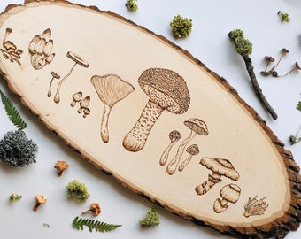 Mushies memorables- Hongos mixtos grandes- Quema de madera de hongos