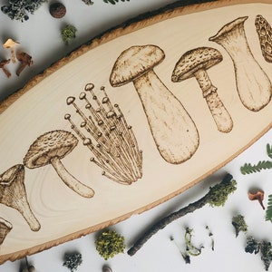 Foragers Friends- Common Edible Mushrooms- Mushroom Wood Burning
