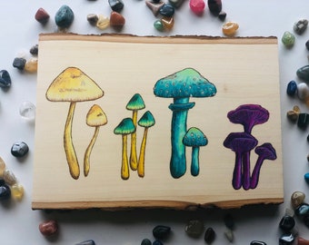 Hongo extravagante: quema de madera de hongos de colores