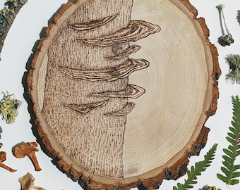 Poliporos- Quema de madera de hongos