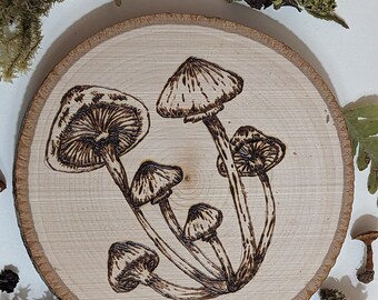 Mini Mushies - Mini Hongos Quemando Leña