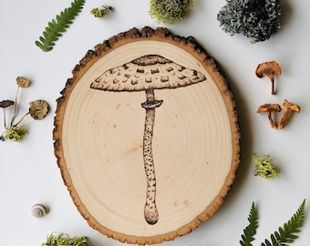 Parasol- Quema de madera de hongos