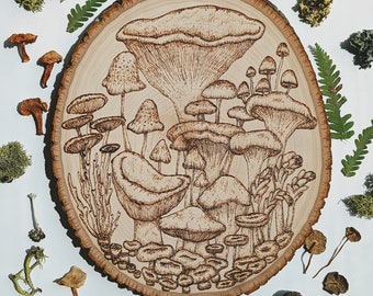 Recuerdos de micólogos- Quema de madera de hongos