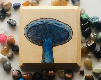 Indigo Milk Cap Mushroom- Burning de madera de hongo de color