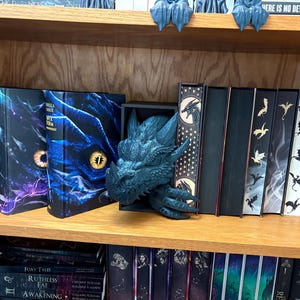 Dragon Book Nook