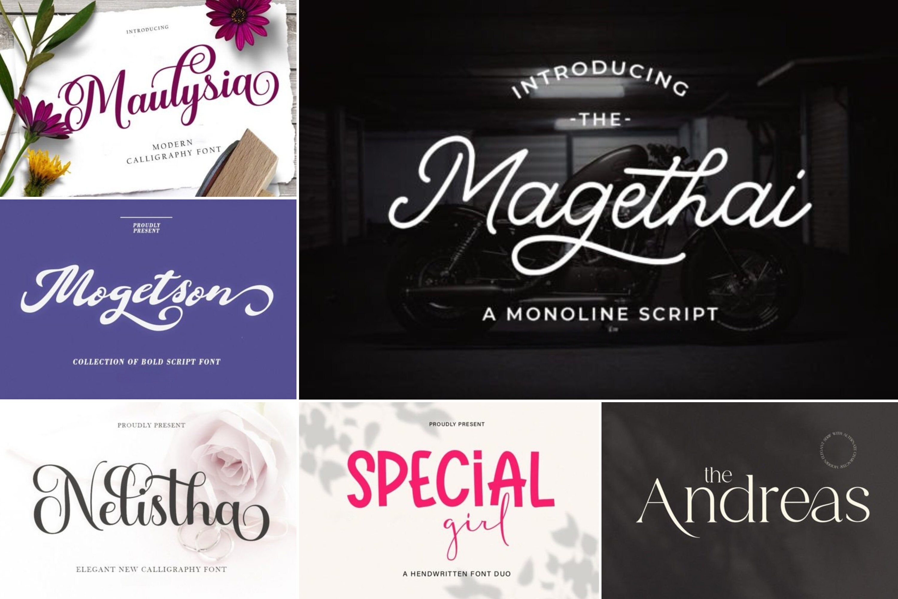 Display & Script Font Bundle Font Bundle, Handwritten Font, Calligraphy ...