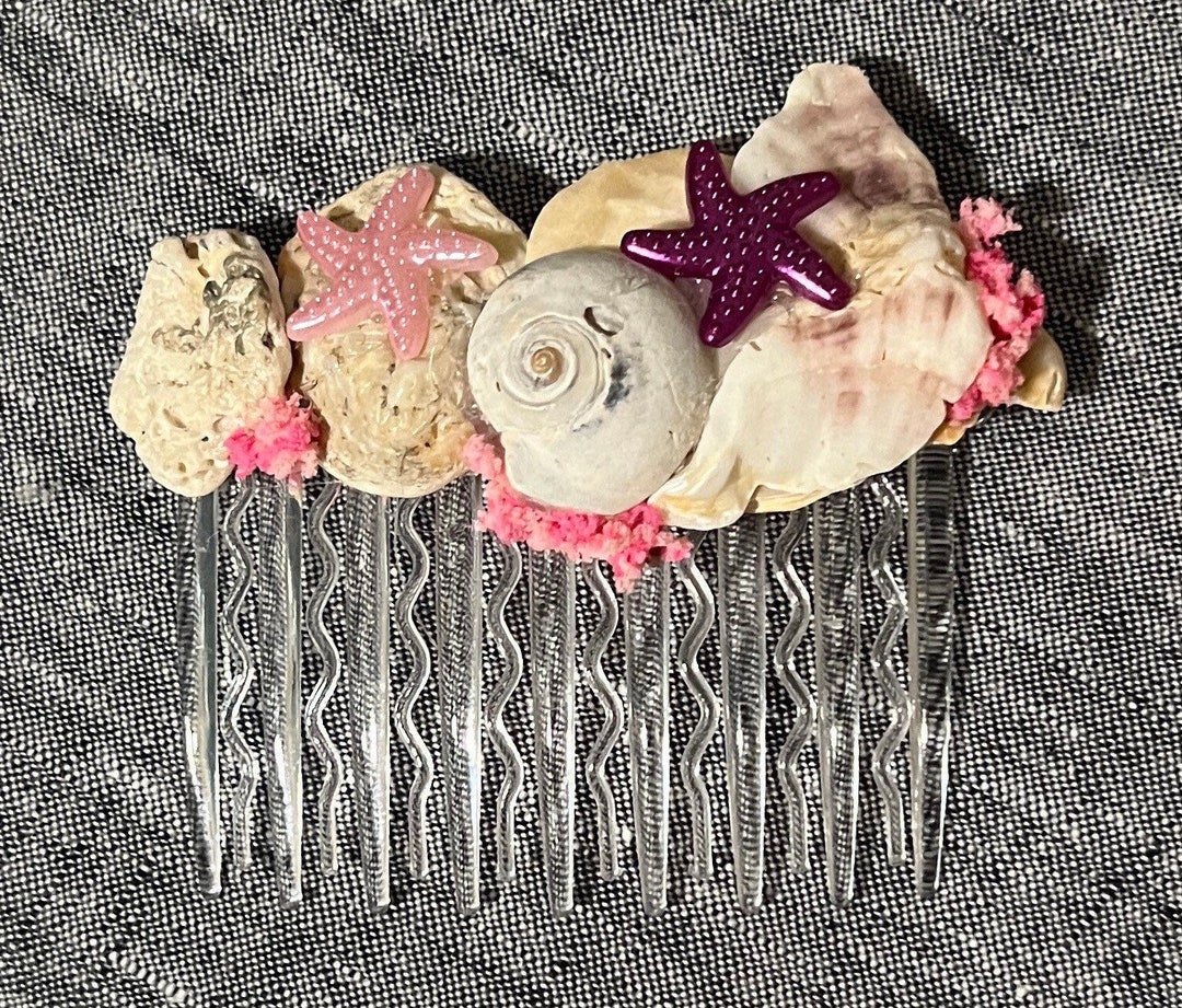 Comb Like Shells Ft Myers Shells Comb Under the Sea - Etsy