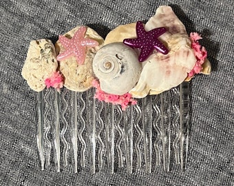 Ft Myers shells comb under the sea