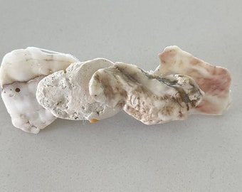 Sanibel shells hair clip