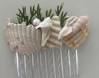Comb with Myrtle beach shells