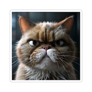 Grumpy Cat Kiss-Cut Stickers, Funny Cat Stickers, Laptop Decals, Pet Lover Gifts, Cute Animal Stickers, Home Decor