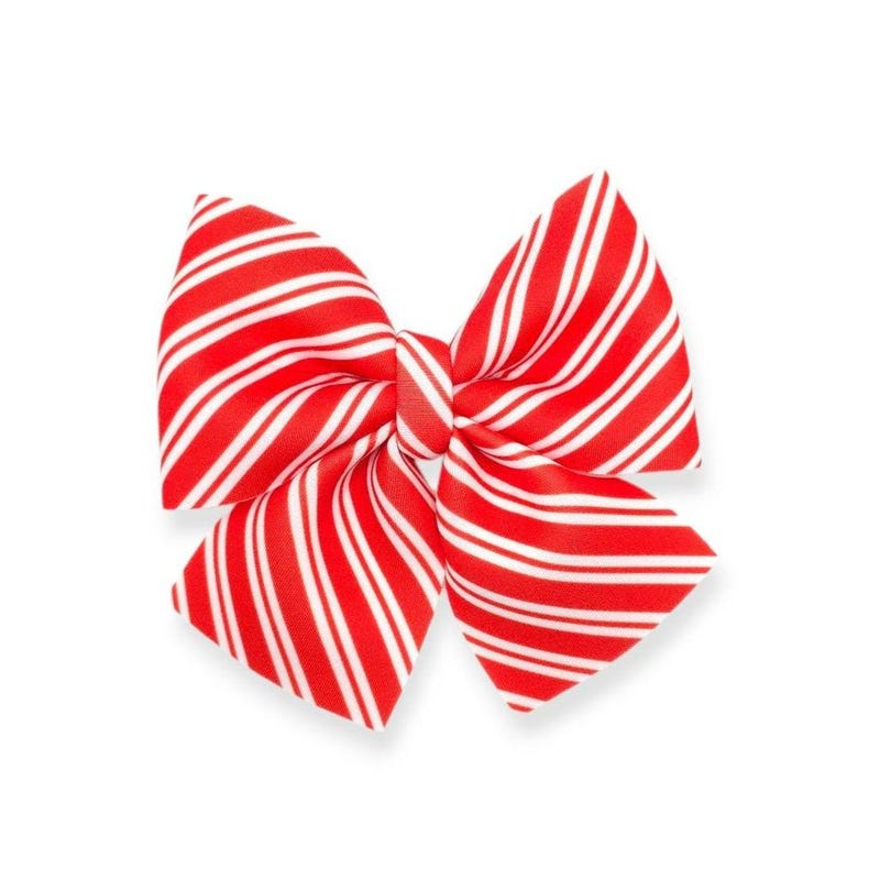 Candy Stripes Bum Bow