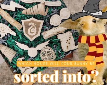 The Wizard Busy Box - "Sorted." - Fun Wizarding Activity Box for Chinchillas, Bunnies, Rabbits, Parrots, Etc.