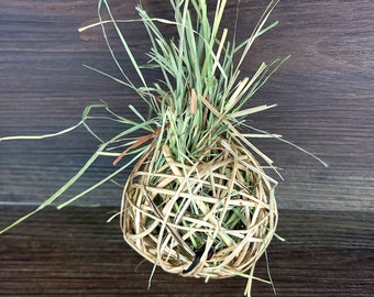 May include: A woven grass ball filled with dried grass, hanging from a string. The ball is about 4 inches in diameter and is a popular toy for small animals.