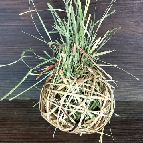 Jumbo Haystuffed Willow Ball Safe Chews for Guinea Pigs Etsy