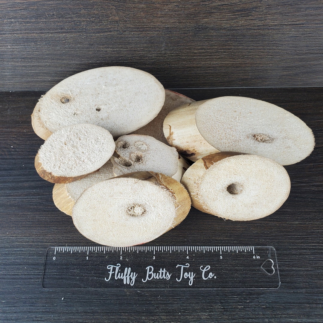 Yucca Wood Slices 20 Pack Safe Chews for Guinea Pigs, Bunny Rabbits