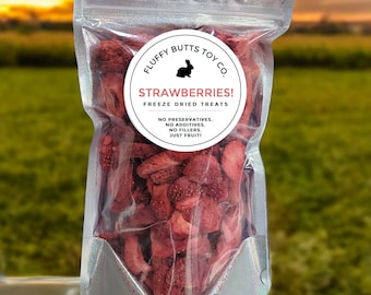 STRAWBERRIES! Preservative-Free Treats for Rabbits & Other Small Pets