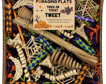 Op de afbeelding: Een kartonnen doos gevuld met vogel-speelgoed in Halloween-thema, waaronder geweven strooien spinnenwebben, een miniatuurbezem en gevlochten kauwstokjes in oranje, zwart, paars en groen. Een centraal label vermeldt FORAGING FLATS TRICK OR TREAT TWEET.