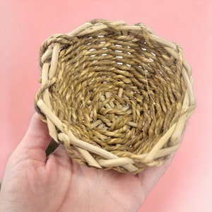 4&quot; Seagrass Bowl - Safe chews for guinea pigs, bunny rabbits, chinchillas, rats and other small animals
