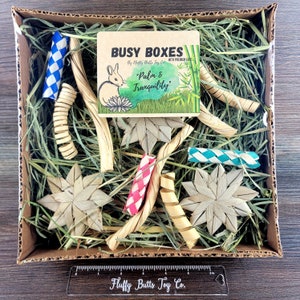 Busy Box #8 (With Hay!) &quot;Palm and Tranquility&quot; - Activity Box for Chinchillas, Bunnies, Rabbits, Guinea Pigs, Rats & Other Critters