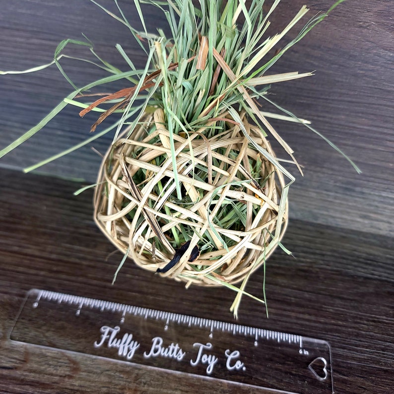 Jumbo Haystuffed Willow Ball Safe Chews for Guinea Pigs Etsy