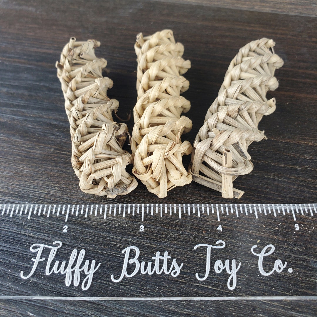 Willow Sticks 10 Pack Safe Chews for Guinea Pigs, Bunny Rabbits