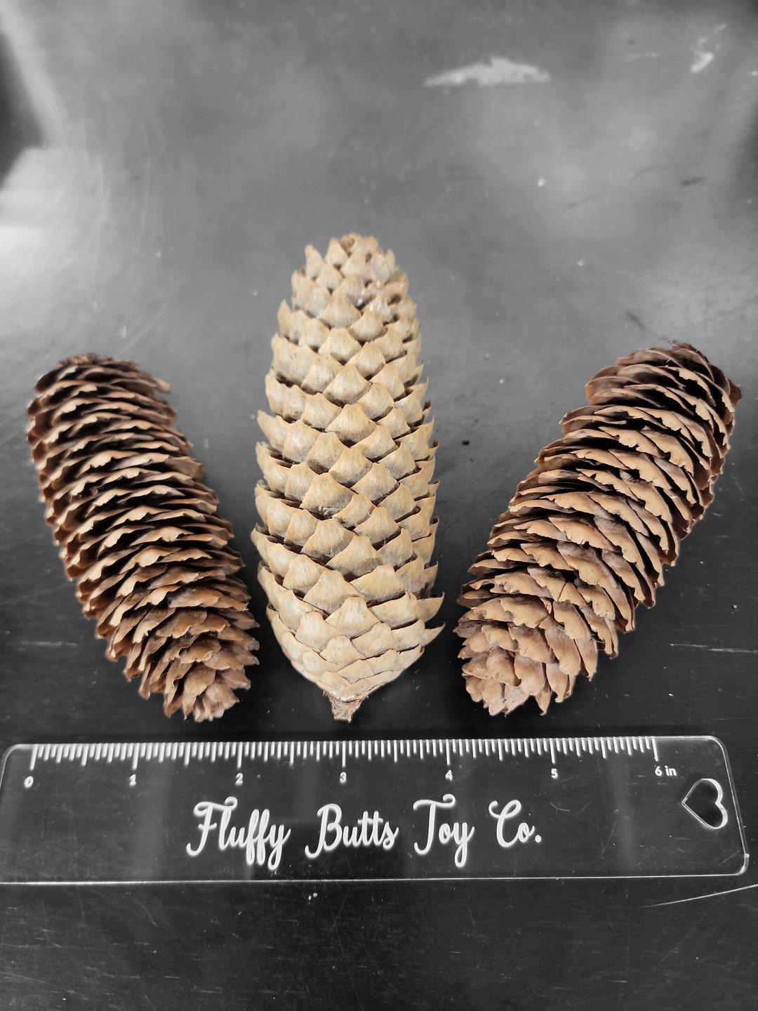 6 Pack Frilly Pine Cones, Chewing for Small Pets Etsy