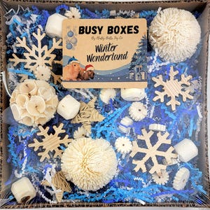 Winter Wonderland Activity Box: Chinchilla, Rabbit, Parrot Enrichment