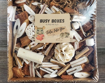 Busy Box #2 - "Sola Into You" - Activity Box for Chinchillas, Bunnies, Rabbits, Parrots, Etc.