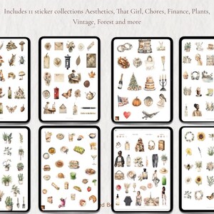 Pacchetto di adesivi acquerello neutri: adesivi Boho Planner per Goodnotes, PNG (download digitale) immagine 2